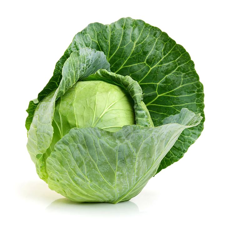 Repollo Verde