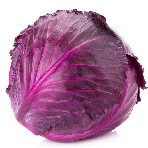 Repollo Morado